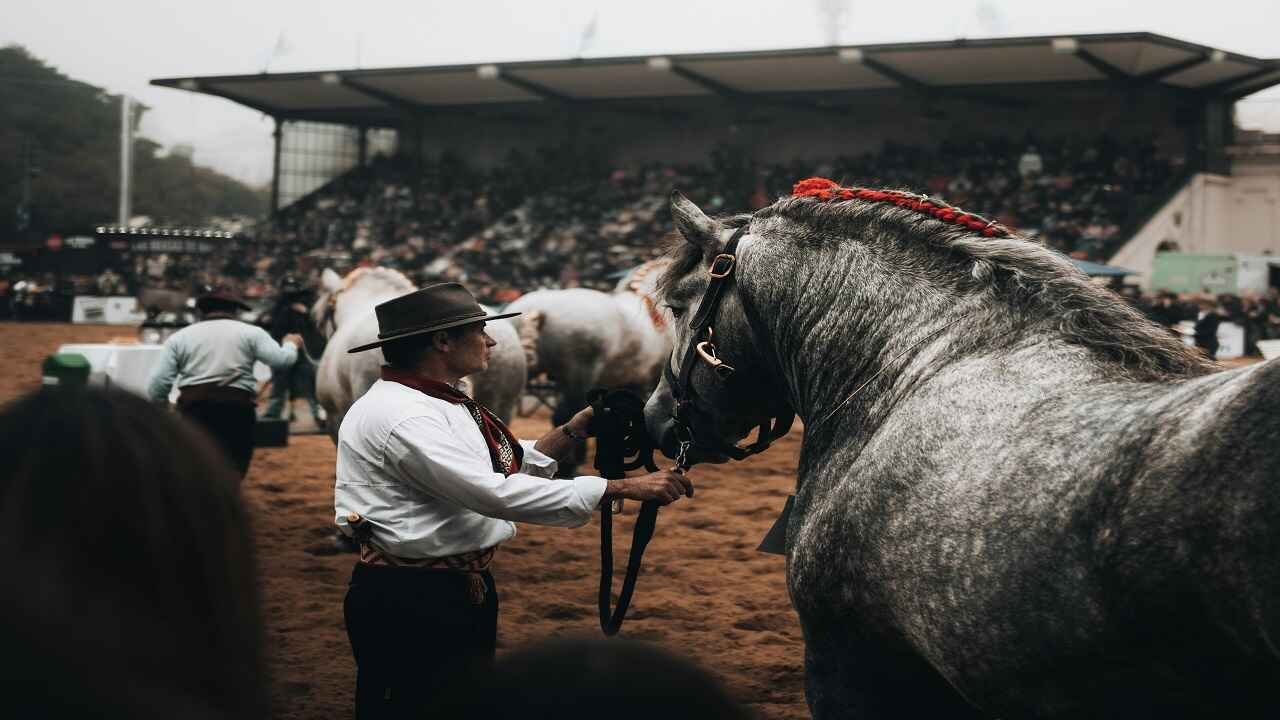 good cowboy horse names